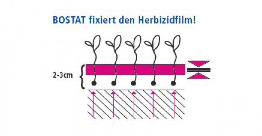 Bostat_Fixierung